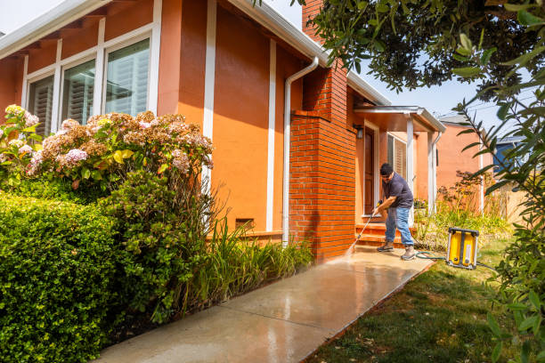 Best Deck Pressure Washing  in Lumberton, MS